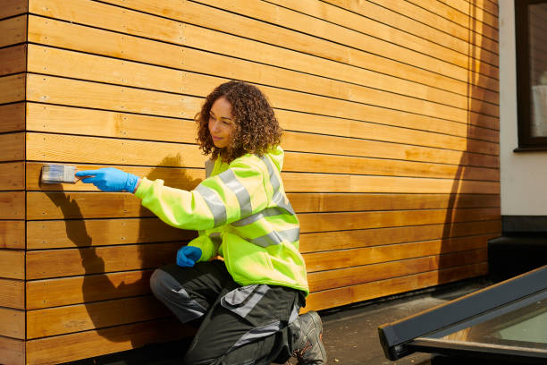Best Fascia and Soffit Installation  in Norman Park, GA